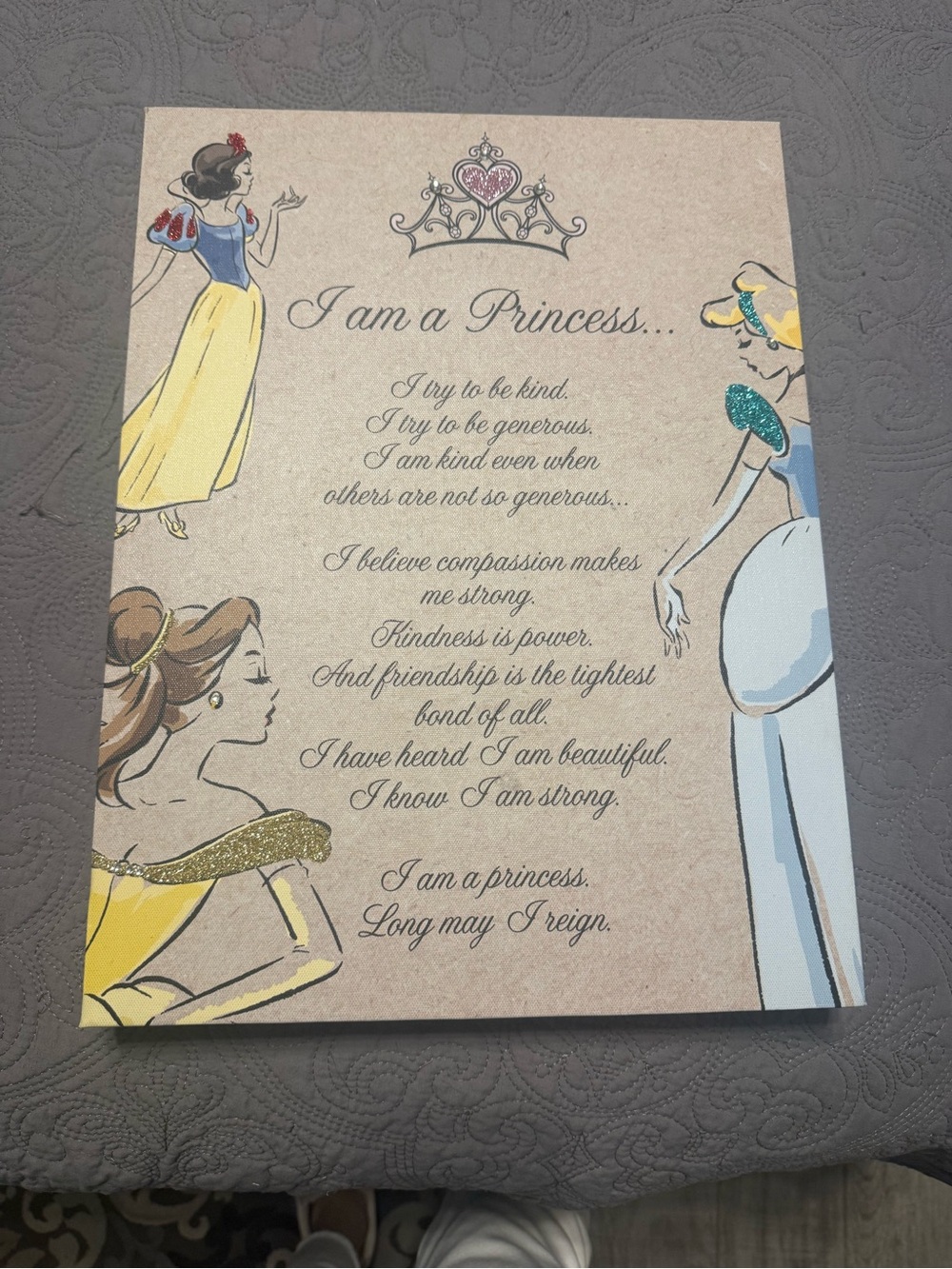 Disney Princess Inspirational Wall Art - Pink, Yellow & Blue